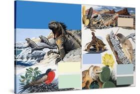 The Galapagos Islands-Arthur Oxenham-Stretched Canvas