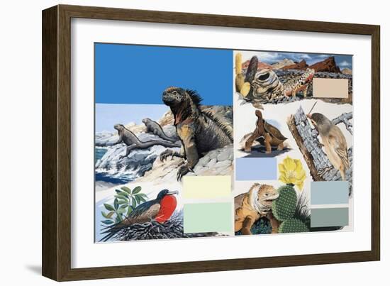 The Galapagos Islands-Arthur Oxenham-Framed Giclee Print