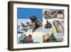 The Galapagos Islands-Arthur Oxenham-Framed Giclee Print