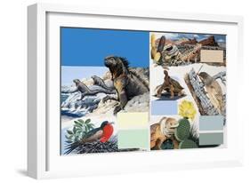 The Galapagos Islands-Arthur Oxenham-Framed Giclee Print