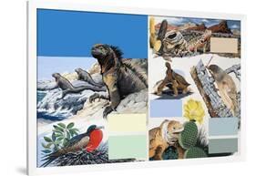 The Galapagos Islands-Arthur Oxenham-Framed Giclee Print