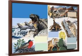 The Galapagos Islands-Arthur Oxenham-Framed Giclee Print