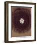 The Galaxy-Petr Strnad-Framed Premium Photographic Print