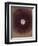 The Galaxy-Petr Strnad-Framed Premium Photographic Print