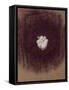 The Galaxy-Petr Strnad-Framed Stretched Canvas