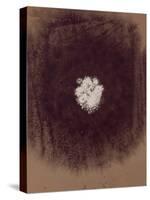The Galaxy-Petr Strnad-Stretched Canvas