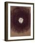 The Galaxy-Petr Strnad-Framed Photographic Print