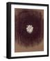 The Galaxy-Petr Strnad-Framed Photographic Print