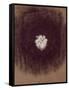 The Galaxy-Petr Strnad-Framed Stretched Canvas