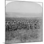 The Gallant Guards Brigade Marching on Brandfort, Boer War, South Africa, 1901-Underwood & Underwood-Mounted Giclee Print