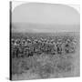 The Gallant Guards Brigade Marching on Brandfort, Boer War, South Africa, 1901-Underwood & Underwood-Stretched Canvas