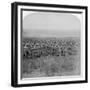 The Gallant Guards Brigade Marching on Brandfort, Boer War, South Africa, 1901-Underwood & Underwood-Framed Giclee Print