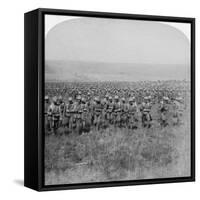 The Gallant Guards Brigade Marching on Brandfort, Boer War, South Africa, 1901-Underwood & Underwood-Framed Stretched Canvas