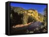 The Gallatin River Near Bozeman, Montana, USA-Chuck Haney-Framed Stretched Canvas