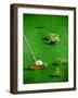 The Gallery-Will Bullas-Framed Premium Giclee Print