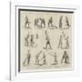 The Game of Lacrosse, Positions of the Players-null-Framed Giclee Print