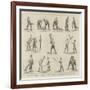 The Game of Lacrosse, Positions of the Players-null-Framed Giclee Print