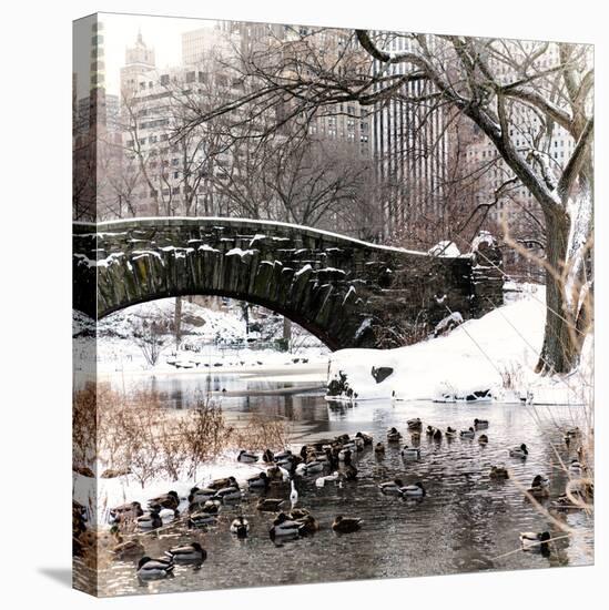 The Gapstow Bridge of Central Park in Winter, Manhattan in New York City-Philippe Hugonnard-Stretched Canvas