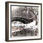 The Gapstow Bridge of Central Park in Winter, Manhattan in New York City-Philippe Hugonnard-Framed Photographic Print