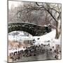 The Gapstow Bridge of Central Park in Winter, Manhattan in New York City-Philippe Hugonnard-Mounted Photographic Print