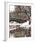 The Gapstow Bridge of Central Park in Winter, Manhattan in New York City-Philippe Hugonnard-Framed Photographic Print