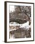 The Gapstow Bridge of Central Park in Winter, Manhattan in New York City-Philippe Hugonnard-Framed Photographic Print