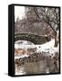 The Gapstow Bridge of Central Park in Winter, Manhattan in New York City-Philippe Hugonnard-Framed Stretched Canvas