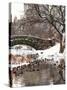 The Gapstow Bridge of Central Park in Winter, Manhattan in New York City-Philippe Hugonnard-Stretched Canvas