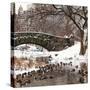 The Gapstow Bridge of Central Park in Winter, Manhattan in New York City-Philippe Hugonnard-Stretched Canvas