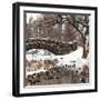 The Gapstow Bridge of Central Park in Winter, Manhattan in New York City-Philippe Hugonnard-Framed Photographic Print