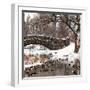 The Gapstow Bridge of Central Park in Winter, Manhattan in New York City-Philippe Hugonnard-Framed Photographic Print