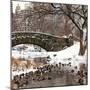 The Gapstow Bridge of Central Park in Winter, Manhattan in New York City-Philippe Hugonnard-Mounted Photographic Print