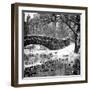 The Gapstow Bridge of Central Park in Winter, Manhattan in New York City-Philippe Hugonnard-Framed Photographic Print