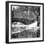 The Gapstow Bridge of Central Park in Winter, Manhattan in New York City-Philippe Hugonnard-Framed Photographic Print