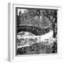 The Gapstow Bridge of Central Park in Winter, Manhattan in New York City-Philippe Hugonnard-Framed Photographic Print