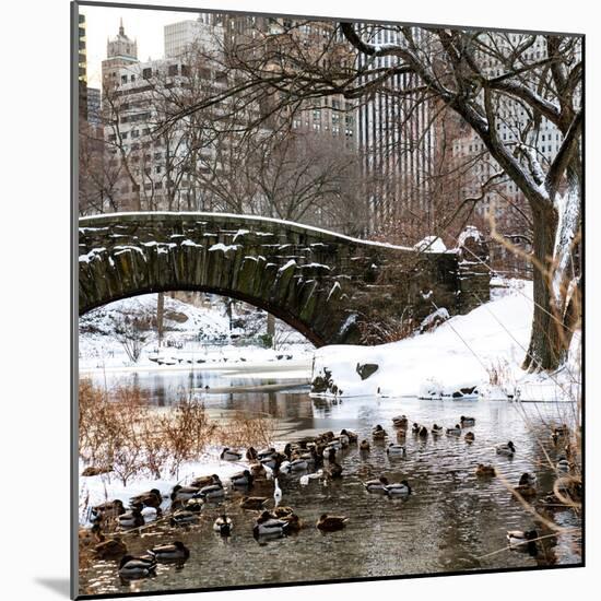 The Gapstow Bridge of Central Park in Winter, Manhattan in New York City-Philippe Hugonnard-Mounted Photographic Print