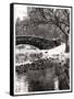 The Gapstow Bridge of Central Park in Winter, Manhattan in New York City-Philippe Hugonnard-Framed Stretched Canvas