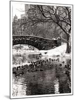 The Gapstow Bridge of Central Park in Winter, Manhattan in New York City-Philippe Hugonnard-Mounted Photographic Print