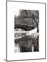 The Gapstow Bridge of Central Park in Winter, Manhattan in New York City-Philippe Hugonnard-Mounted Art Print