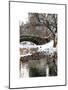 The Gapstow Bridge of Central Park in Winter, Manhattan in New York City-Philippe Hugonnard-Mounted Art Print