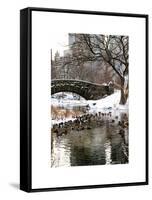 The Gapstow Bridge of Central Park in Winter, Manhattan in New York City-Philippe Hugonnard-Framed Stretched Canvas