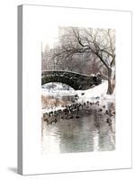 The Gapstow Bridge of Central Park in Winter, Manhattan in New York City-Philippe Hugonnard-Stretched Canvas