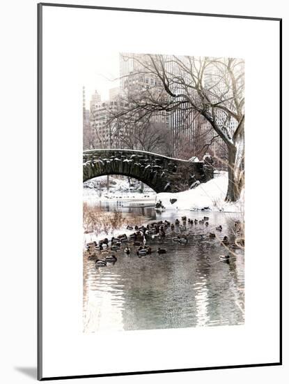 The Gapstow Bridge of Central Park in Winter, Manhattan in New York City-Philippe Hugonnard-Mounted Art Print