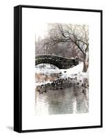 The Gapstow Bridge of Central Park in Winter, Manhattan in New York City-Philippe Hugonnard-Framed Stretched Canvas