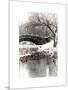 The Gapstow Bridge of Central Park in Winter, Manhattan in New York City-Philippe Hugonnard-Mounted Art Print