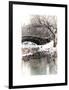 The Gapstow Bridge of Central Park in Winter, Manhattan in New York City-Philippe Hugonnard-Framed Art Print