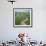 The Garamba River Winds Through the Grasslands of the Garamba National Park in Northern Congo-Nigel Pavitt-Framed Photographic Print displayed on a wall