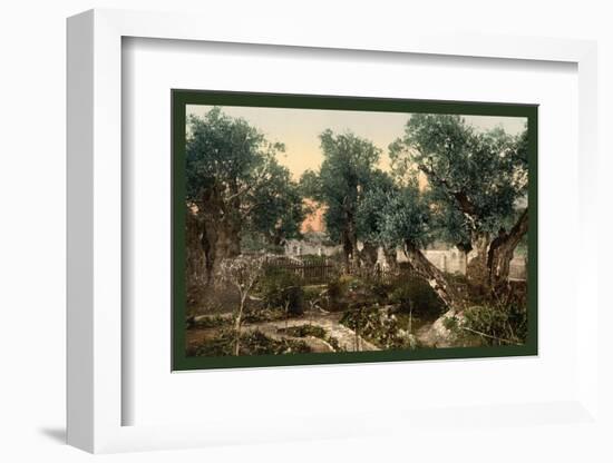 The Gardem of Gethsemane-null-Framed Photo