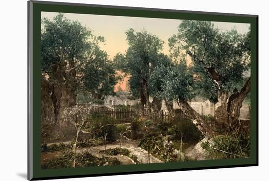 The Gardem of Gethsemane-null-Mounted Photo