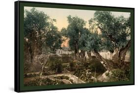 The Gardem of Gethsemane-null-Framed Stretched Canvas